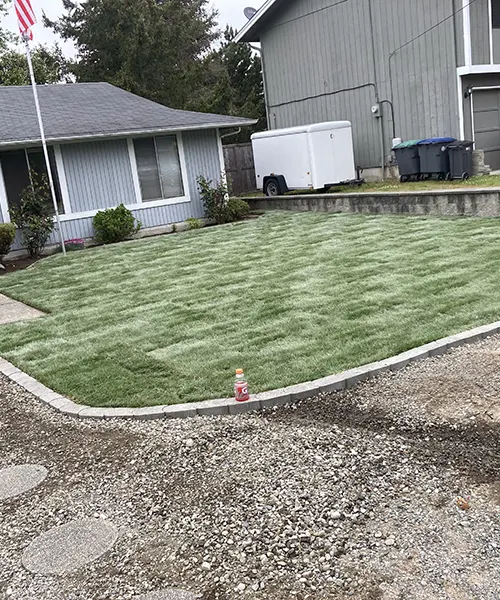 New Lawn Installation in Bellevue 